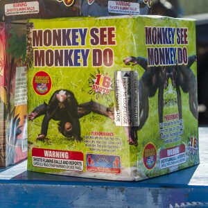 Monkey See, Monkey Do, a 16-shot 200g shell with plenty of great color