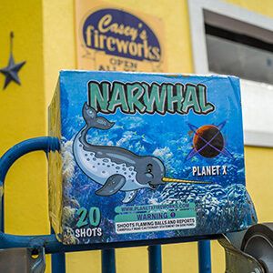 Narwhal, a hard-hitting 20-shot 500g brocade shell from Casey's